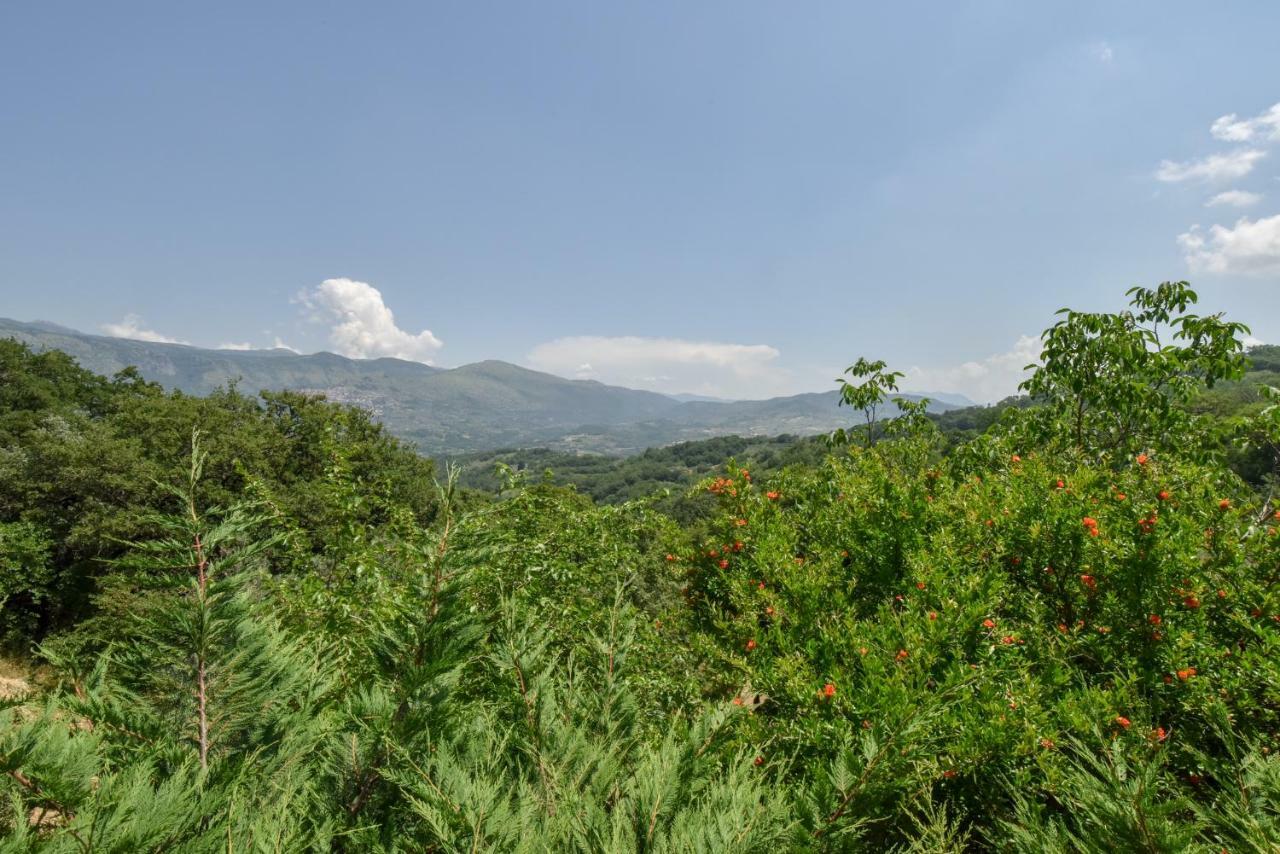 Agriturismo L'Antico Casolare Castelcivita المظهر الخارجي الصورة